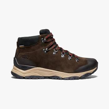 KEEN Feldberg APX Waterproof - Hnede Turistické Topánky Panske, K0006SK